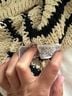 Zara Stripes Black White Cardigan Size S - photo 5