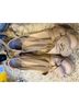 Puma Tan Sandals Size 9 - photo 5