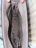 Michael Kors Gray Messenger One size - photo 3