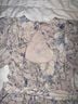Express Ivory Blue Romper Size S - photo 7