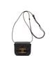 Céline Brown Triomphe Camera Bag Mini One size - photo 1