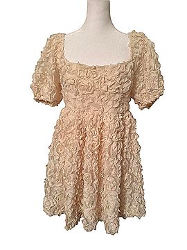 ApricotLane Cocktail Dress (view 1)