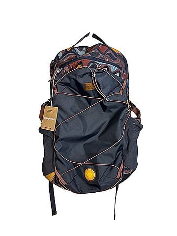 Patagonia Backpack (view 1)