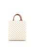 Céline Tan Vertical Cabas Tote Triomphe Coated Canvas Small One size - photo 4