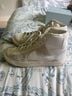 Nike Ivory Sneakers Size 7 - photo 3