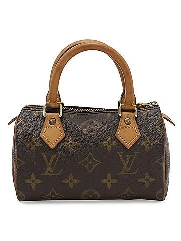 Louis Vuitton LOUIS VUITTON Louis Vuitton Monogram Mini Speedy Handbag Pouch M41534 (view 1)