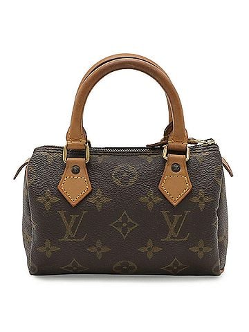 Louis Vuitton LOUIS VUITTON Louis Vuitton Monogram Mini Speedy Handbag Pouch M41534 (view 1)