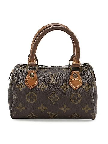 Louis Vuitton LOUIS VUITTON Louis Vuitton Monogram Mini Speedy Handbag Pouch M41534 (view 2)