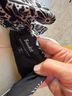 Bardot Floral Black Short Sleeve Blouse Size 8 - photo 3