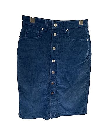 Everlane Casual Skirt (view 1)