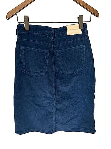 Everlane Casual Skirt (view 2)