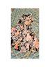 Alfani Floral Multi Color Casual Dress Size L - photo 8