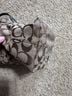 Coach Print Brown Green Leather Belt One size - photo 7