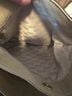 Michael Kors Tan Leather Hobo One size - photo 3