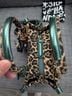 Kurt Geiger Leopard Print Multi Color Leather Tote One size - photo 4