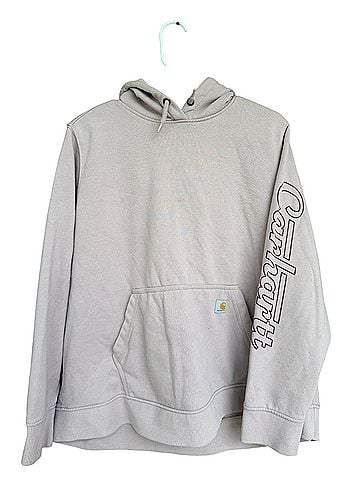 Carhartt Pullover Hoodie (view 1)