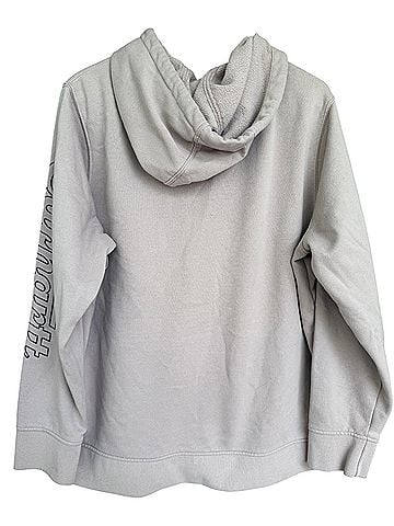 Carhartt Pullover Hoodie (view 2)