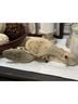 Michelle D. Gold Heels Size 8 - photo 5