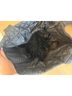 MZ Wallace Blue Leather Tote One size - photo 7