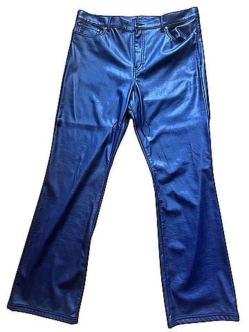 W by Worth w by worth Faux Leather Pants (view 1)