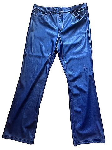 W by Worth w by worth Faux Leather Pants (view 2)