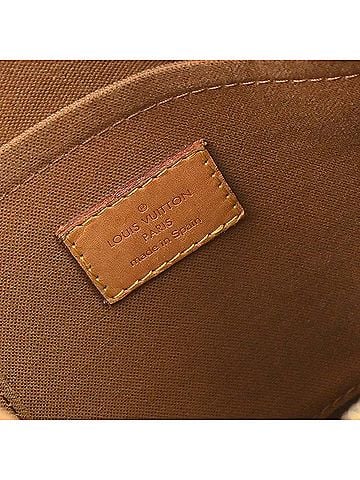 Louis Vuitton Odeon Handbag Monogram Canvas Brown Canvas Crossbody Bag Bag (view 2)