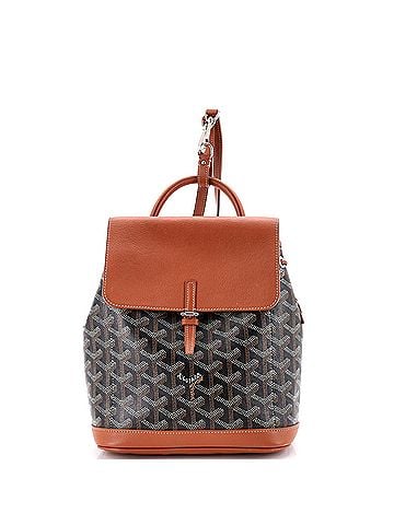 Goyard Alpin Backpack Coated Canvas Mini (view 1)