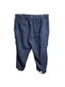 Pilcro Blue Cargo Pants Size 18 - photo 2