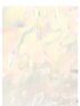 Posh Peanut 100% Bamboo Pink Coat Size 3X - photo 2
