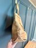 Dooney & Bourke Tan Tote One size - photo 3