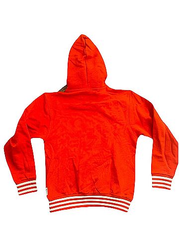 Adidas Pullover Hoodie (view 2)