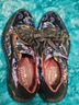 L'Artiste Floral Multi Color Sneakers Size EU 41 - photo 4