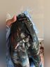 Current Mood Blue Jacket Size M - photo 3