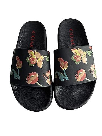Coach Coach Slides Sandals (view 1)