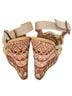 Dolce by Mojo Moxy Aztec Or Tribal Print Multi Color Tan Wedges Size 7 1/2 - photo 2