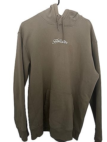 Hollister Pullover Hoodie (view 1)