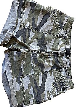Kut From The Kloth Cargo Shorts