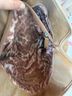 B Makowsky 100% Gauze 100% Gauze Brown Leather Satchel One size - photo 5