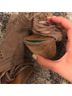 Not Rated Brown Heels Size 7 1/2 - photo 5