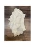 Hollister White Shorts Size XS - photo 7