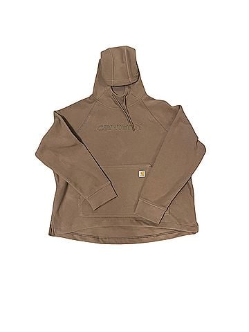 Carhartt Pullover Hoodie (view 1)