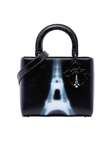 Dior Medium Crinkled Calfskin Eiffel Tower Lady Dior (view 1)