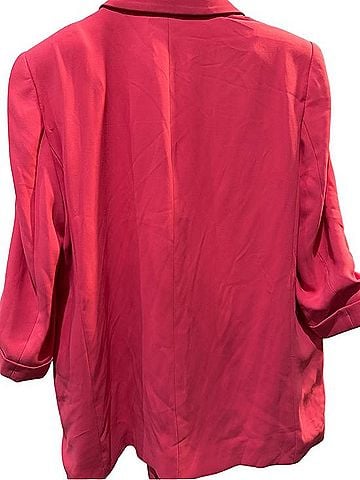 Zara Blazer (view 2)