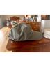 Anine Bing Green Gray Teal Baseball Cap One size - photo 3