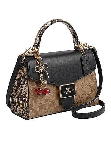 Coach Leather Crossbody Bag (view 1)