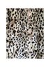 CAbi 65% Acrylic 35% Polyester 100% Polyester Leopard Print Brown Jacket Size M - photo 5