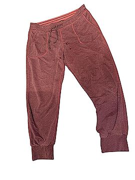 Patagonia Sweatpants (view 1)