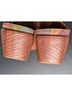 Alegria 100% Leather Mule/Clog Size EU 38 - photo 6