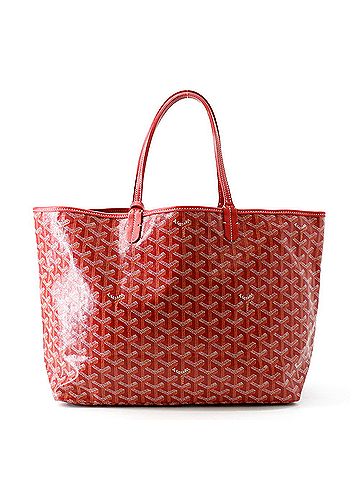 Goyard Goyard Saint Louis PM Tote Bag Leather STLOUIPMLTY02CL02P GOYARD Handbag (view 1)