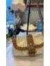 Coach Print White Tan Shoulder Bag One size - photo 4